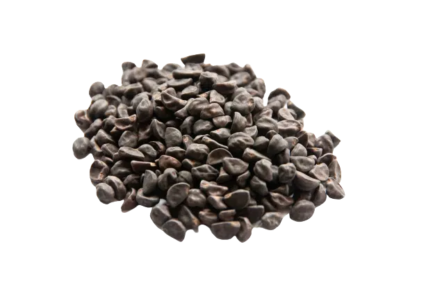 LSA (Seeds – 10mg per dose)