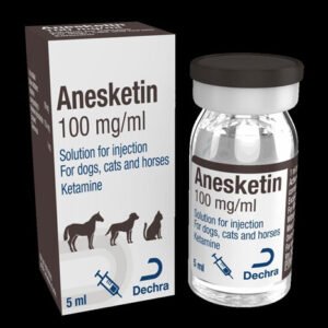 Buy Anesketin 100 mg/ml 10ml solution