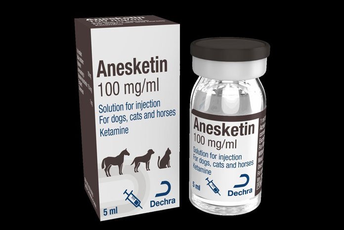 Buy Anesketin 100 mg/ml 10ml solution