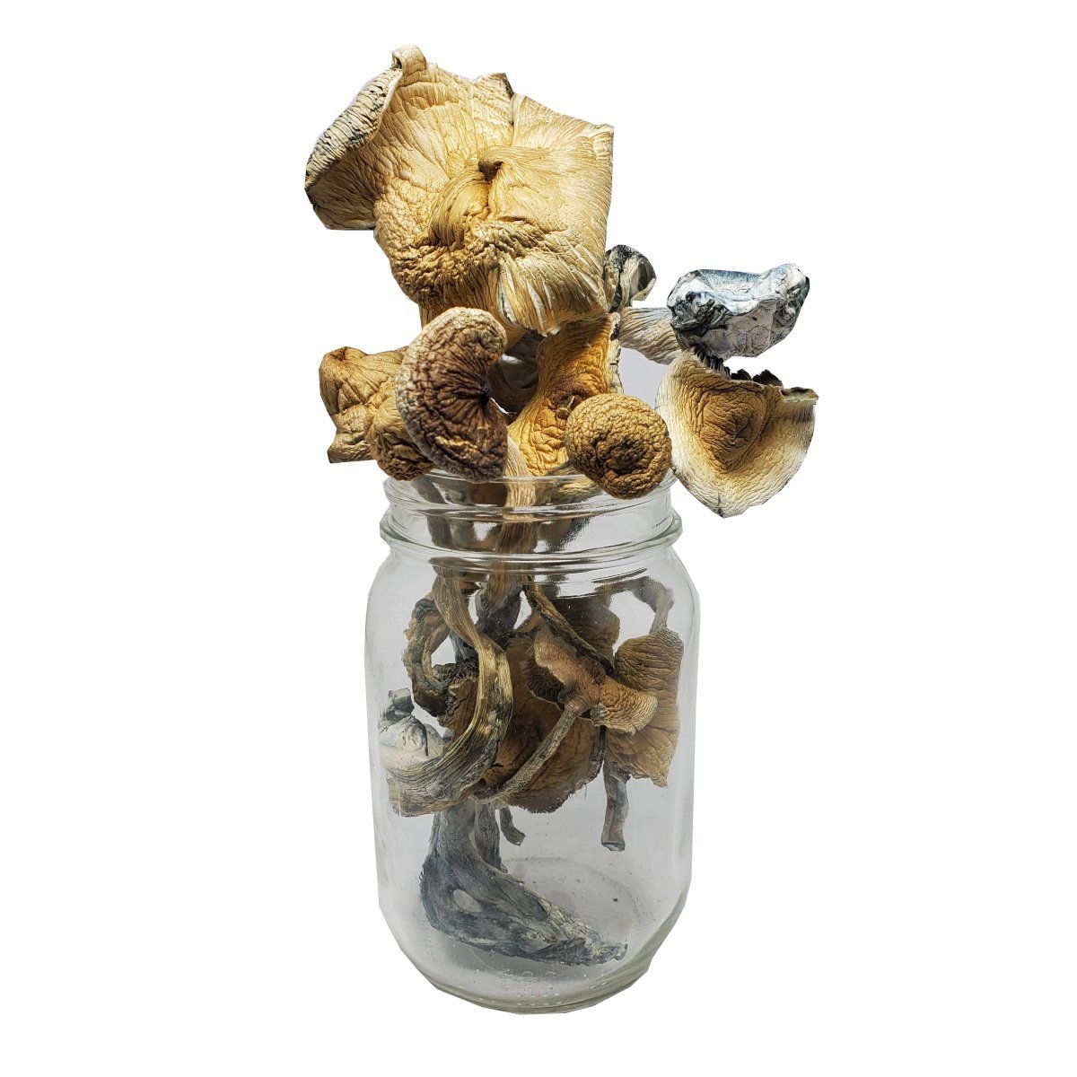 Golden Teacher