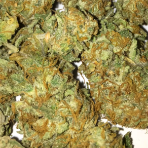 Buy Chemdawg Weed Strain Online