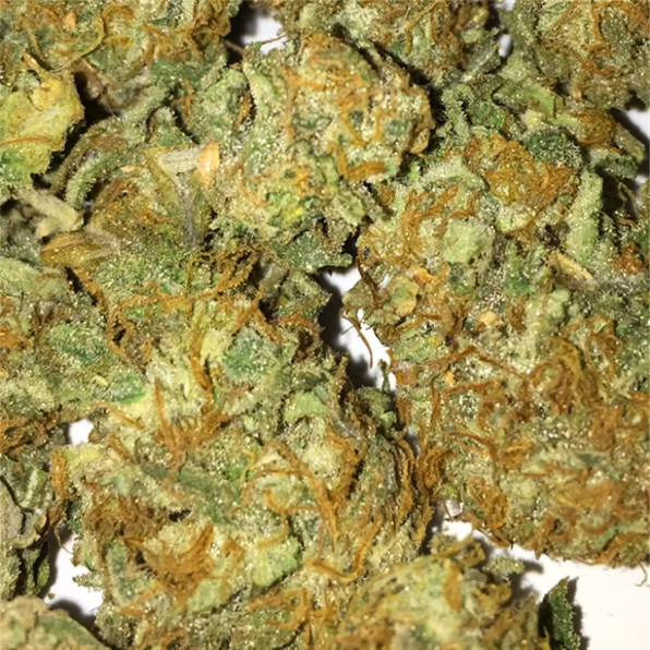 Buy Crystal Coma Strain Online
