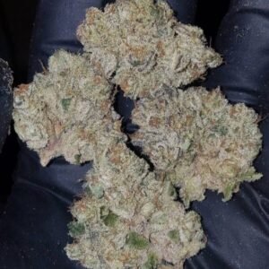 Buy Do Si Dos Strain Online