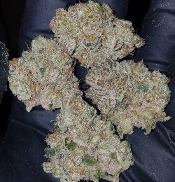 Buy Do Si Dos Strain Online