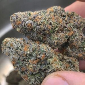Buy Grape Kush Strain Online