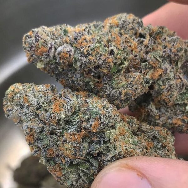 Buy Grape Kush Strain Online