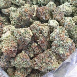 Buy Jack Herer Sativa Strain Online