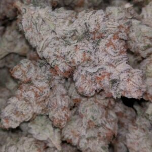 Buy Runtz Strain Online