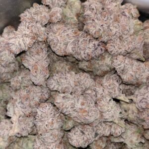 Buy Super Jack Strain Online