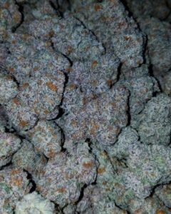 Buy Super Silver Haze Strain Online